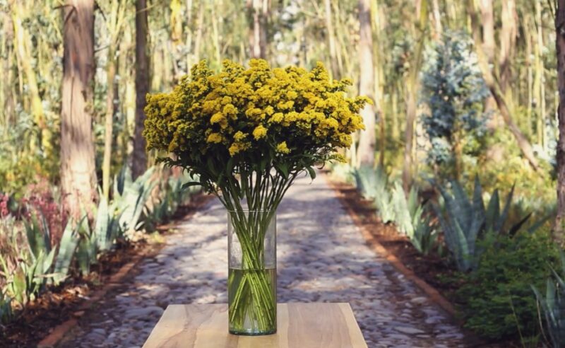 Symbolic flowers for goodbye